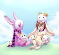 Poro fun