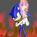 My first Sonic pic