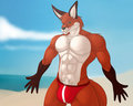 So You Want To See What My Build Looks Like? by JasonWerefox