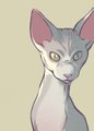 WIP Sphynx
