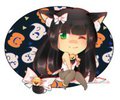 Black Cat adopt extra