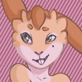 Candy Bunny