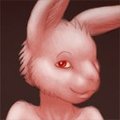 Easter bunneh