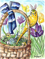 Budgies in Easter Hay
