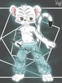 Galaxy KungFu Tiger