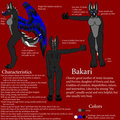Bakari Character Sheet