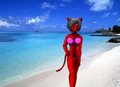Cherry's Swimsuit by Kreyowitz