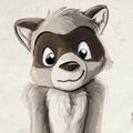 A raccoon personality