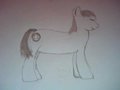 First Drawing by clearshot01