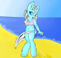 Cutie on the beach