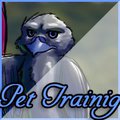 Pet Training by Lily