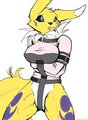 renamon in a straitjacket by nr1231
