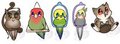 Borbs