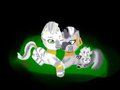 Nyota, Zecora and foal