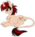 pony recolor