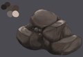 That is a rock