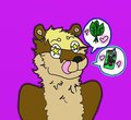 Everything You need~!