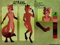 Straal clean (Character Design Commission)