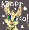 Adorable adoptables!