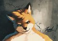 Fox by Sufrank