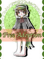 FREE adoption 2013 : puppy boy