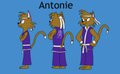 Antonie the Cat
