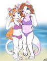 The Last Swim of the Summer
