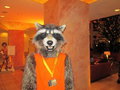 Rocket