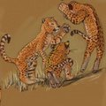 jaguares