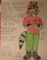 Who Are These Guys? - Shannon Raccoon