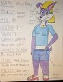 Who Are These Guys? - Mitzi Bunny