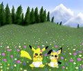 Peony and Bluebell picnic