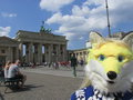 Selfie: Brandenburger Tor