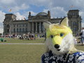 Selfie: Reichstag