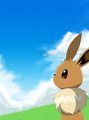 Looking Sky