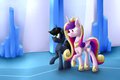 Midnight and Cadence