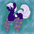 Fuzzy Socks (2)