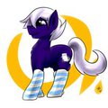 Fuzzy Socks (3)