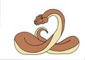 random snake pic 