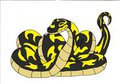 random snake pic by lolafanboa