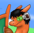 Saiyan Zard 