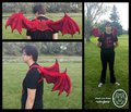 ~check out these winglets~