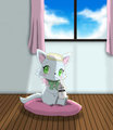 Milky~Milk