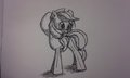 Appleshy