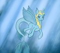 Calm Seas