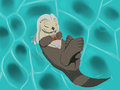 The otter me