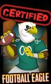 Certified Football Eagle