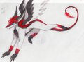 doodle47.0