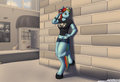 Rainbow by Immelmann