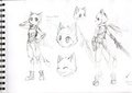 Sketches
